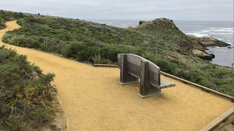 bench overlooking water along a manicured trail