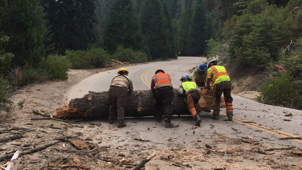 Samantha-Ksor-Crew-Installs-New-Lighting Corpsmembers and supervisor push large tree trunk out of road after felling the tree.