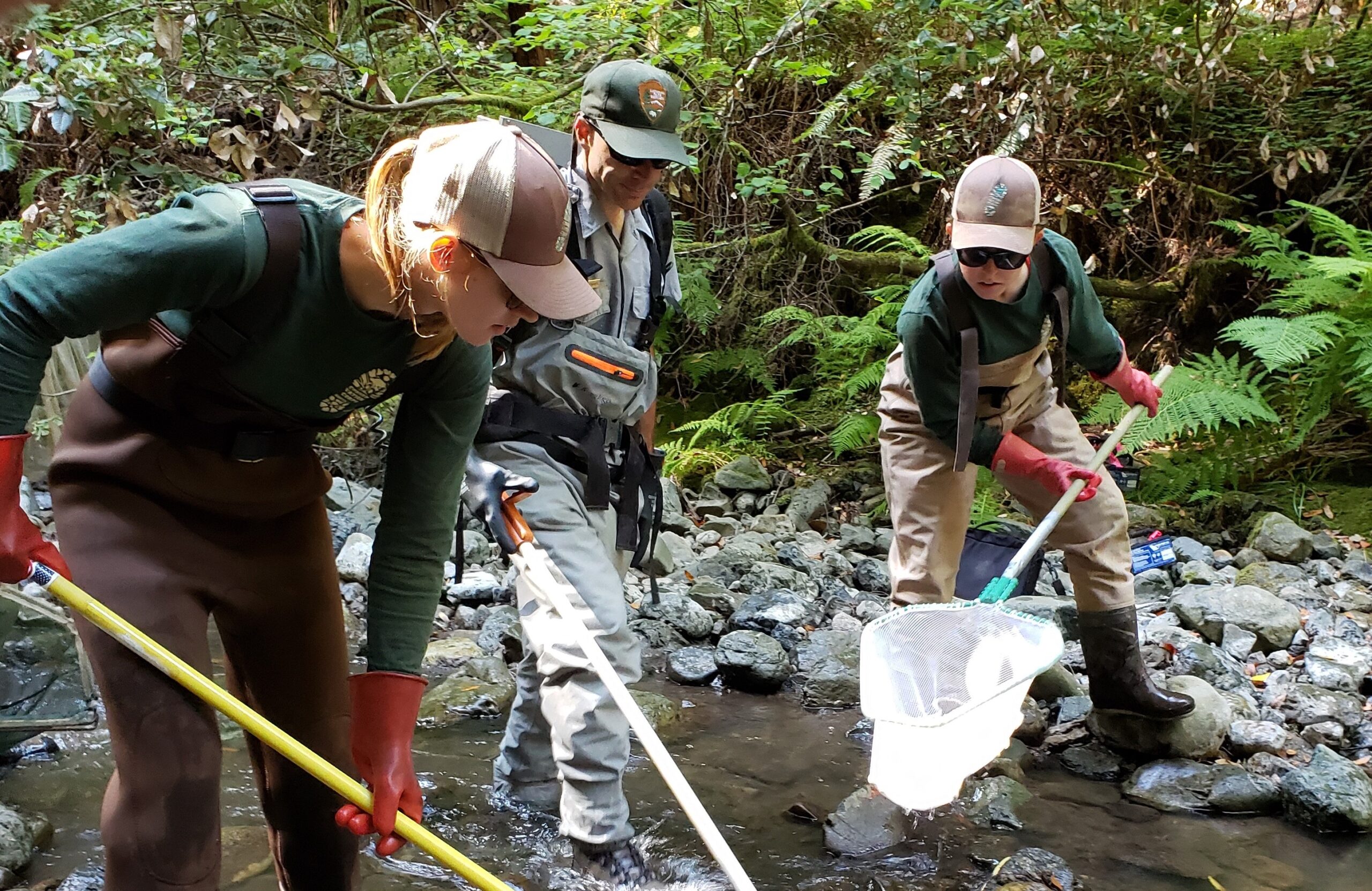 Waterway-Survey Corpsmembers with the Placer 1 fire crew cut fire line with hand tools as flames from the Dixie Fire approach in 2021.