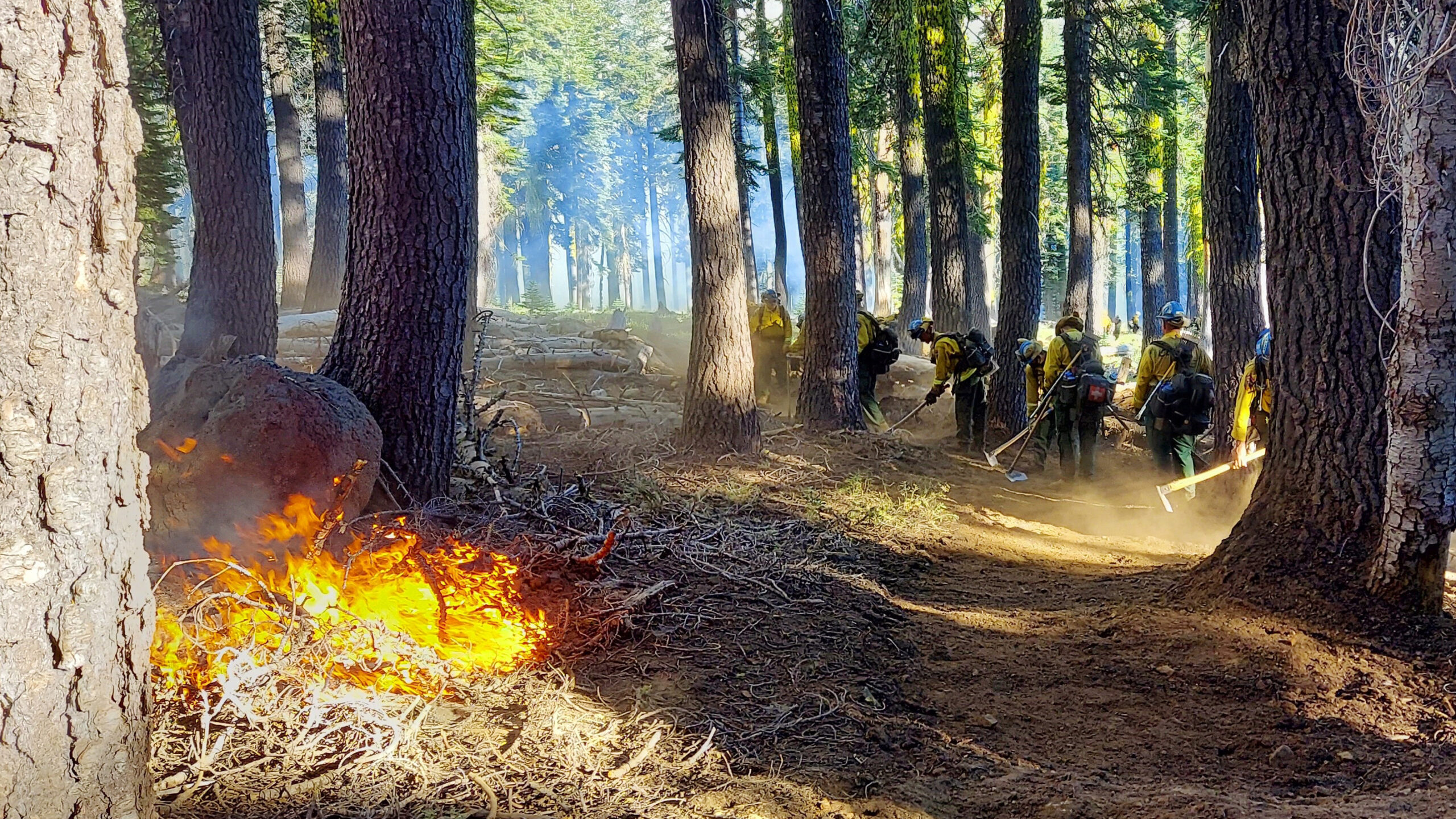 Placer-1-Cutting-Line-Ahead-of-Burn-Operation-on-Dixie-Fire