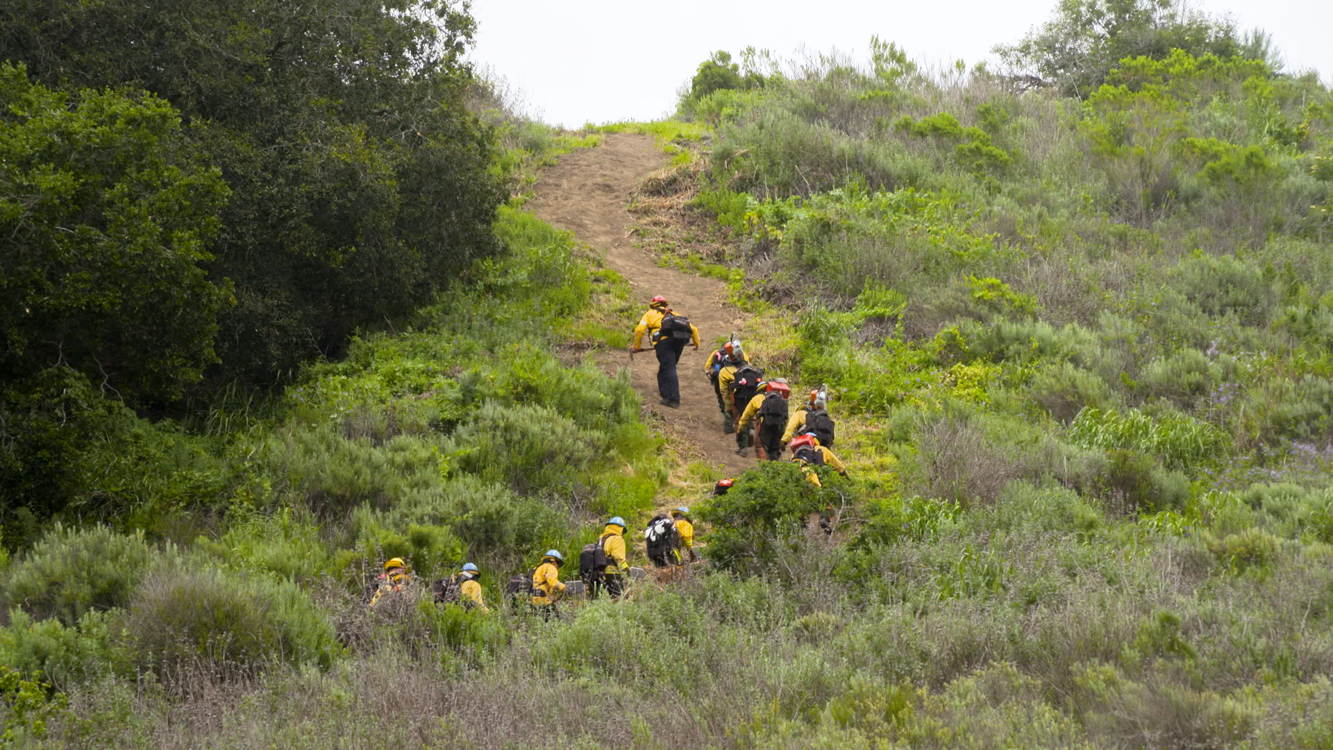 Cam-Steep-Hike Cam-Steep-Hike