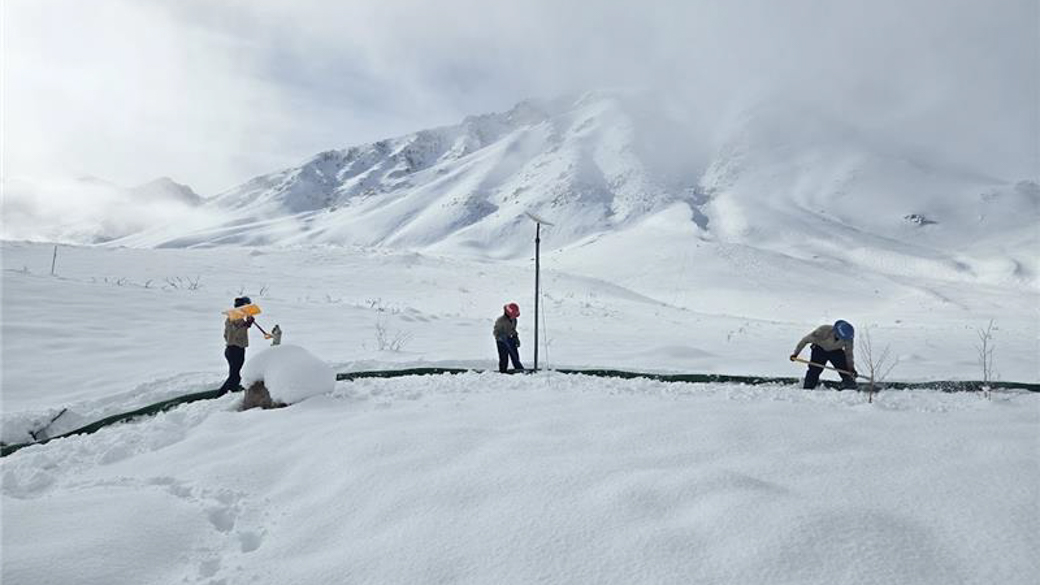 CCC Corpsmembers respond to a winter storm emergency near Mammoth, CA.