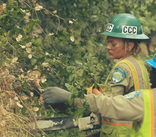 Salmon_Creek_SRP-2 1