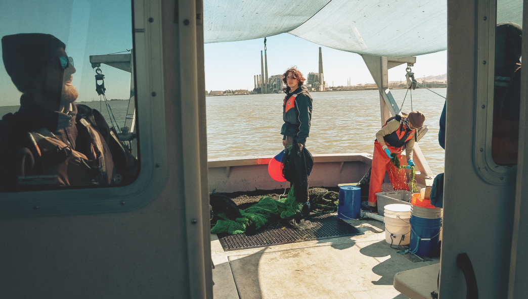 Casting a net Josafat Ismael Alvarez III prepares to cast a net into the Delta, helping the U.S. Fish & Wildlife Service monitor fish species of concern.