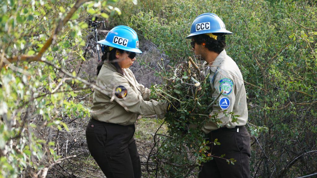 CCC00267