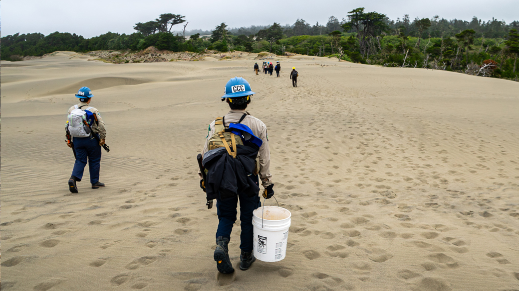 corpsmembers in helmets walking across large sand dune headed toward a forest