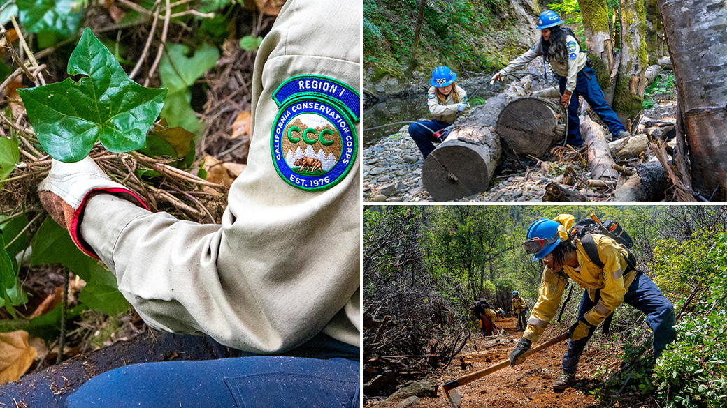 Conservation Programs Banner