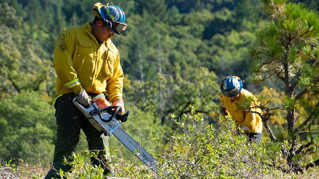 firefighter using chain saw to cut vegetation, with another firefighter off in the background