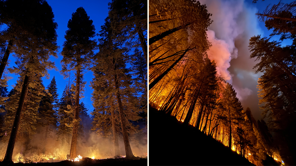 nighttime photos showing fire burning along trees in butte county during hte park fire