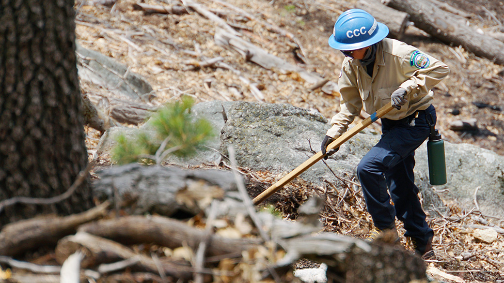baby tree in foreground out of focus, corpsmember with hand tool in focus in the deep background working along a mountain
