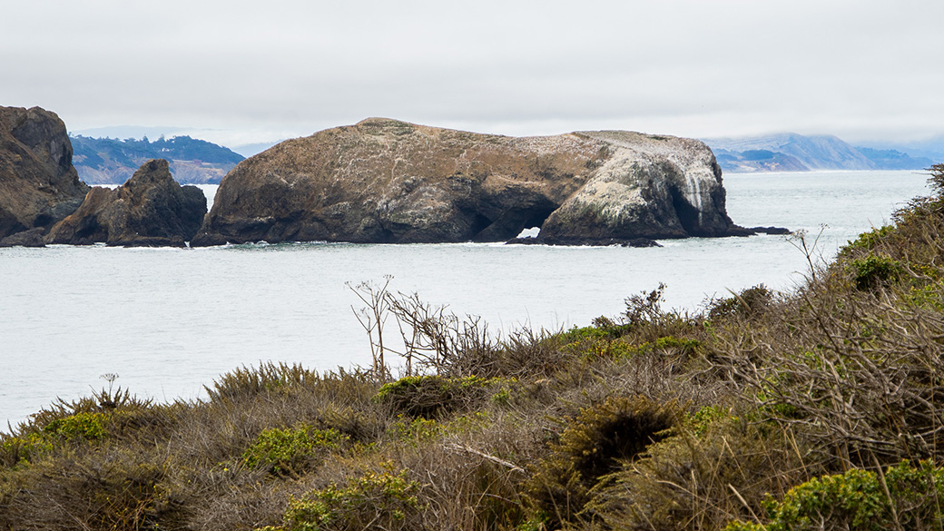 beauty shot of island out in the bay