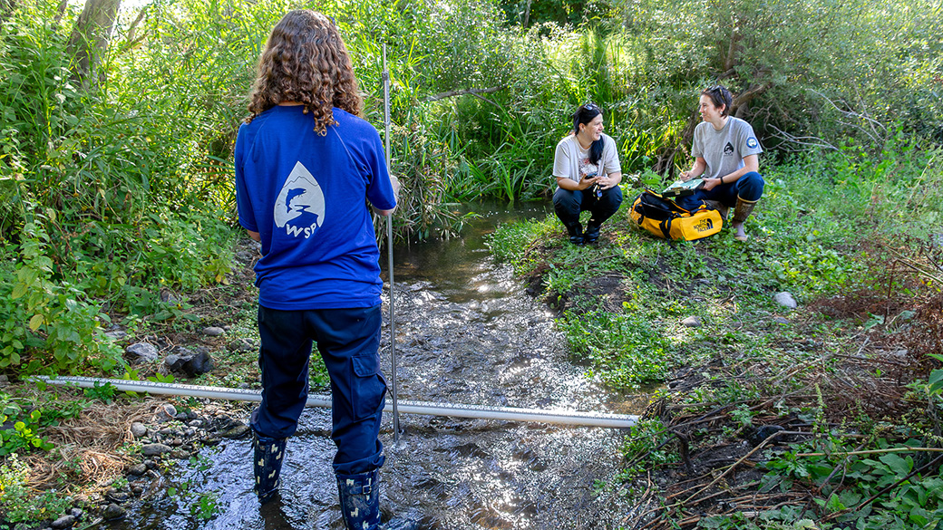 female on left holding rod while two other females deeper in the background talk and write down data