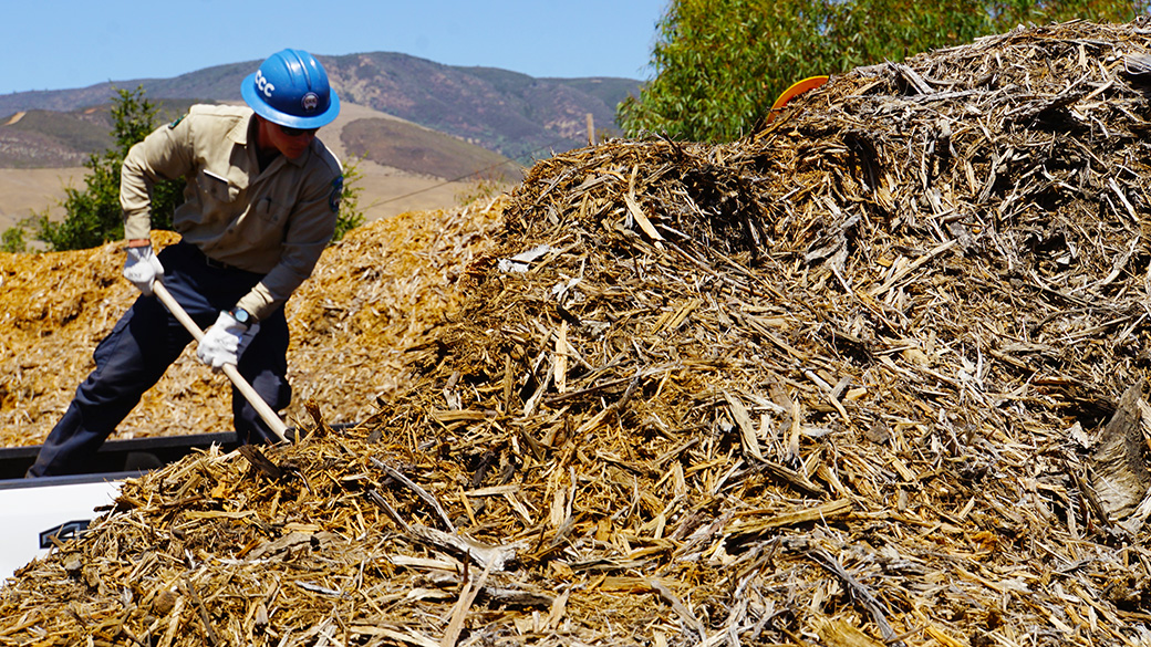 male using shovel in background pushing mulch onto a truck bed. pile of mulch in foreground
