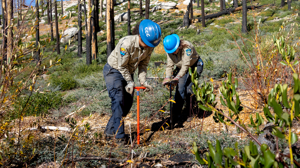 Two Corpsmember using dibble bars.
