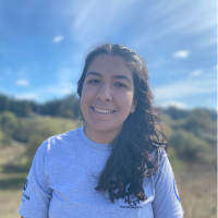 WSP - Crystal Diaz