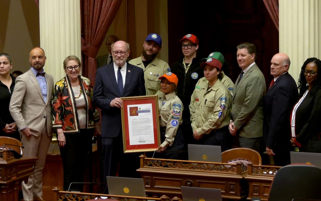 CCC Honored with Senate Resolution Celebrating 50 Years of Service